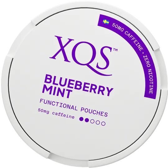 XQS Blueberry Mint - Bundle – Pouches