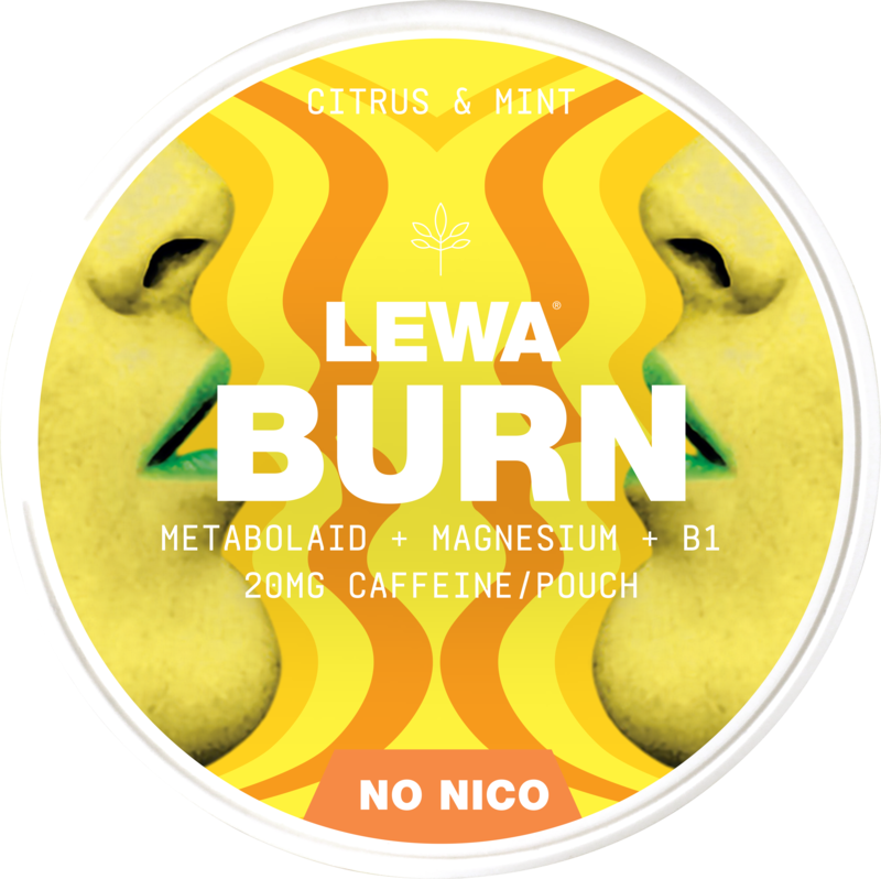 Lewa Burn Citrus Mint – Pouches