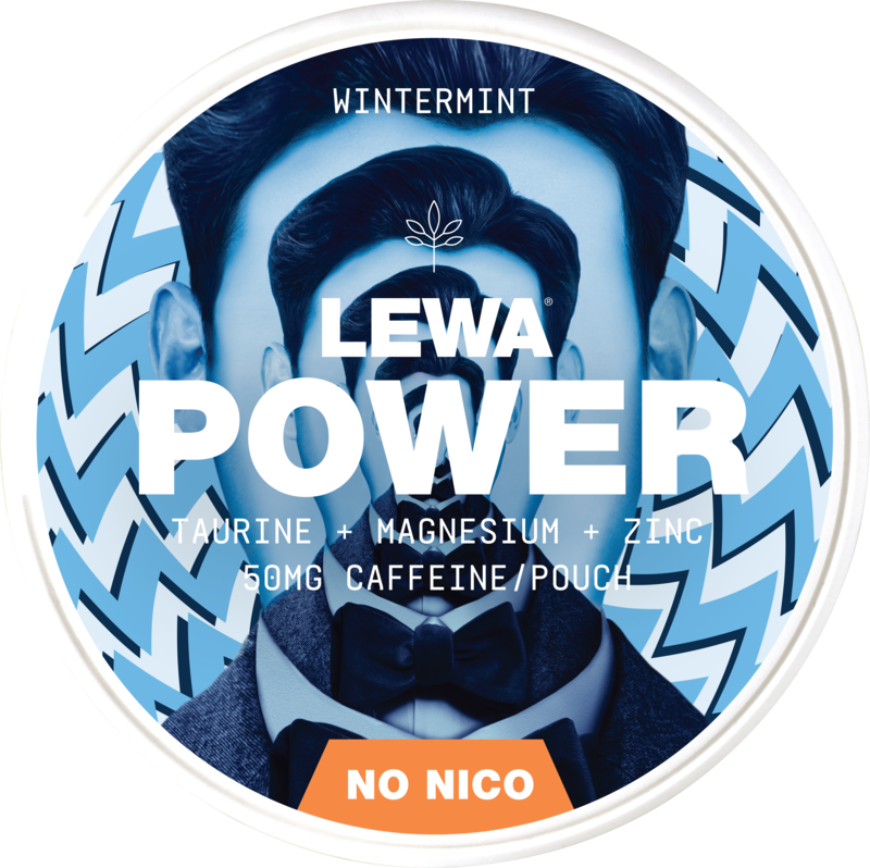 Lewa Power Wintermint – Pouches