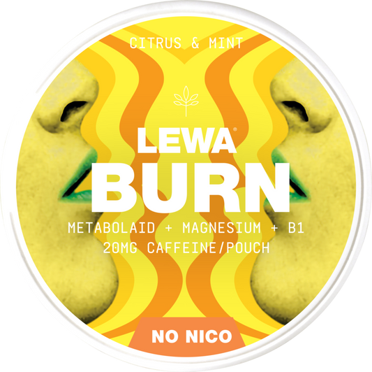 Lewa Burn Citrus Mint – Pouches