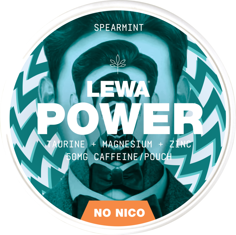 Lewa Power Spearmint – Pouches