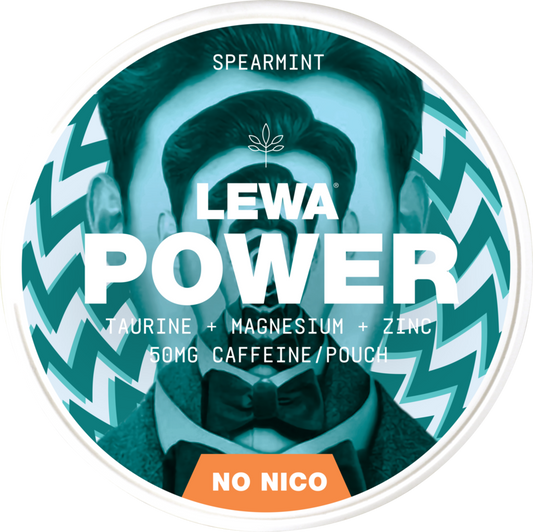 Lewa Power Spearmint – Pouches