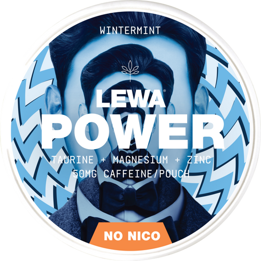 Lewa Power Wintermint – Pouches
